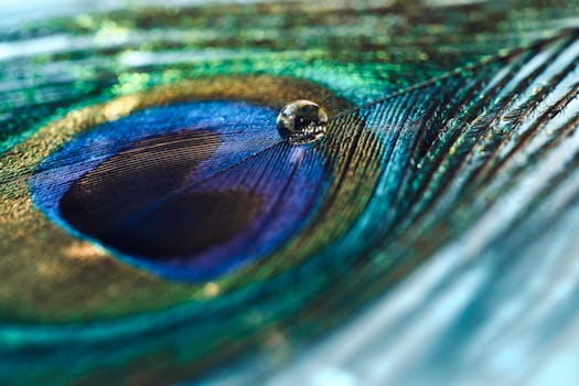 变色龙眼睛特写，展示其独立转动的眼球