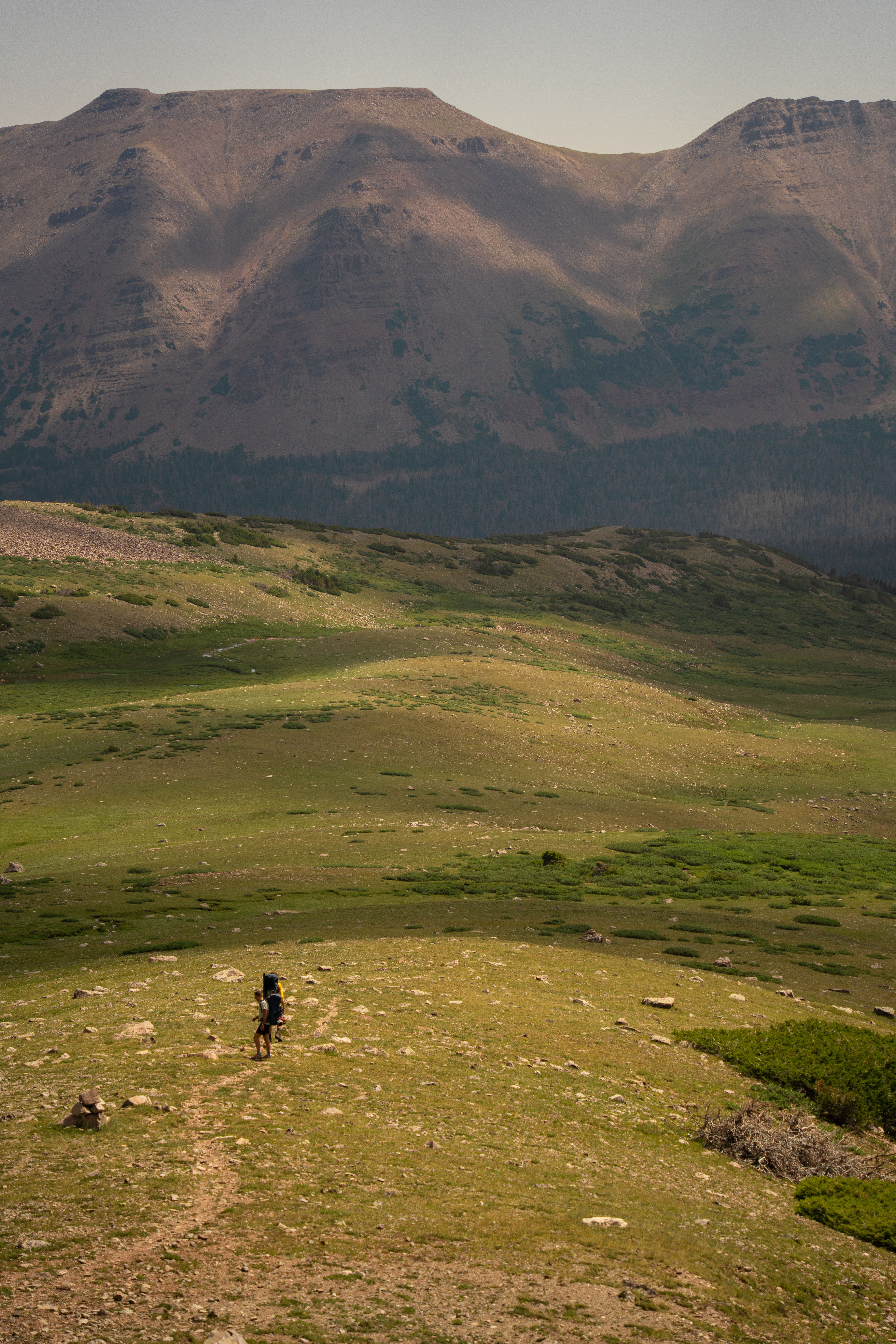 Hiker on a summer ridge trail — photo by Alex Moliski on Pexels