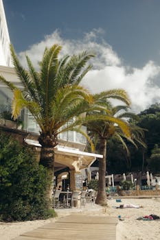 Relax at a luxurious beachfront resort in Santanyí, Spain, surrounded by palm trees and ocean views.