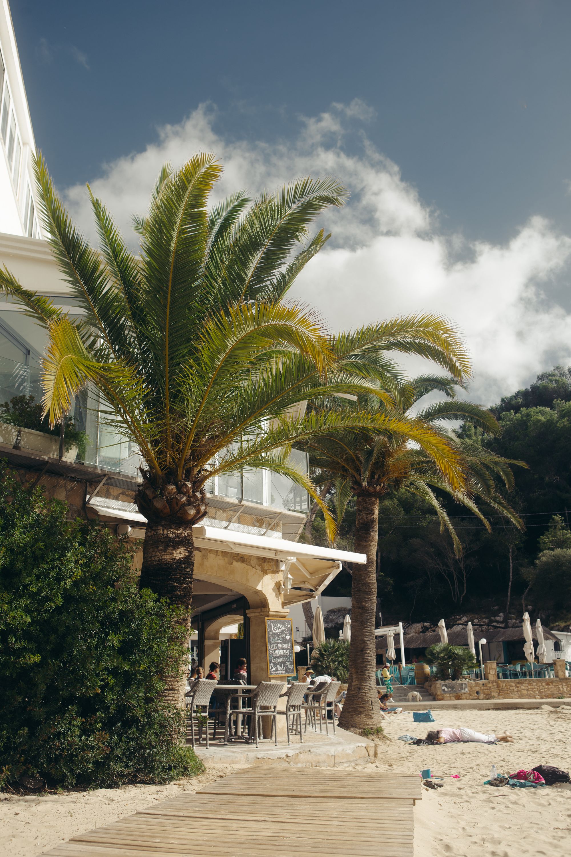 Palm-fringed Caribbean beachfront, St Barths