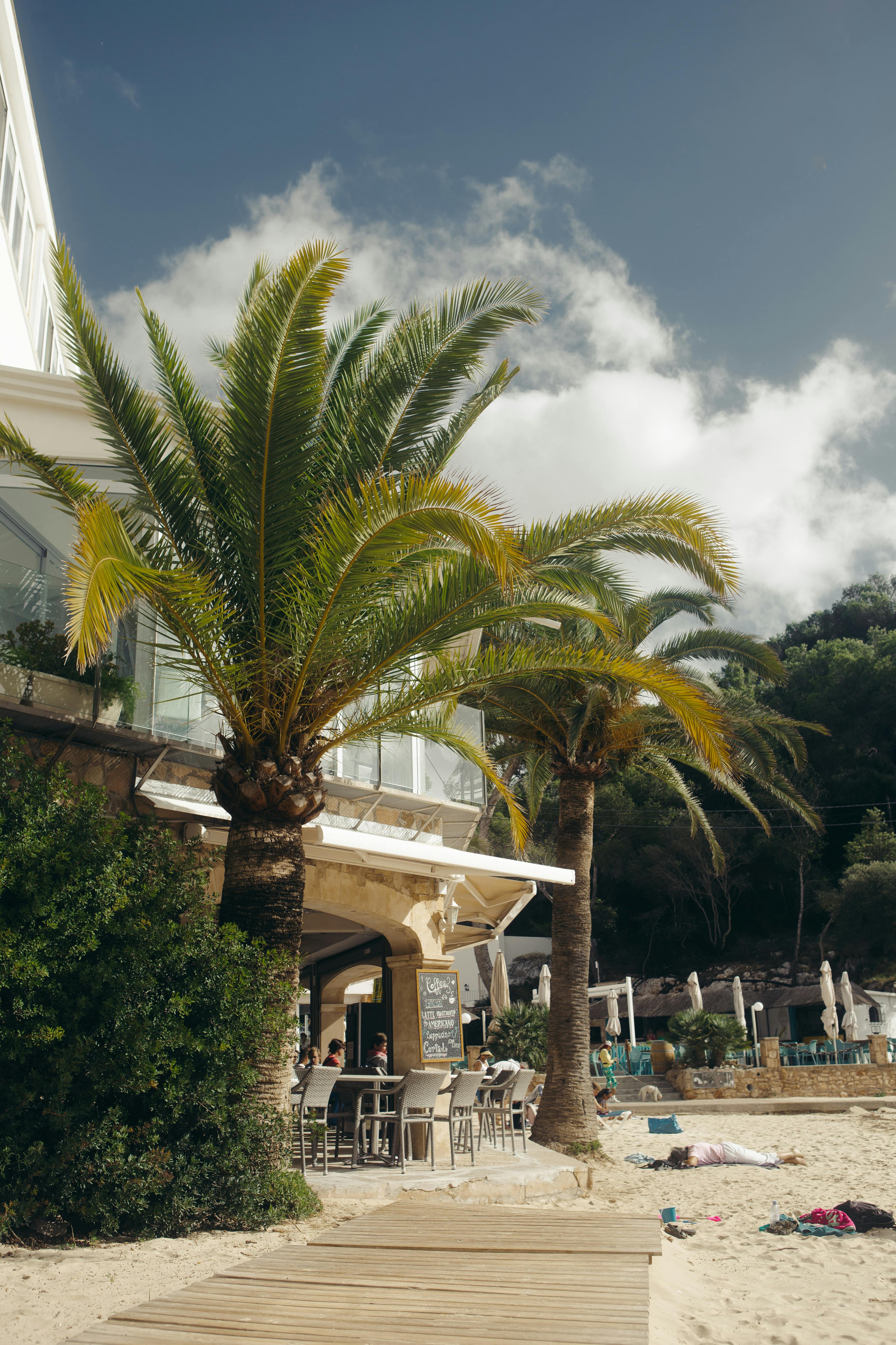 Gratis Spiaggia Di Santanyi Maiorca Foto a disposizione