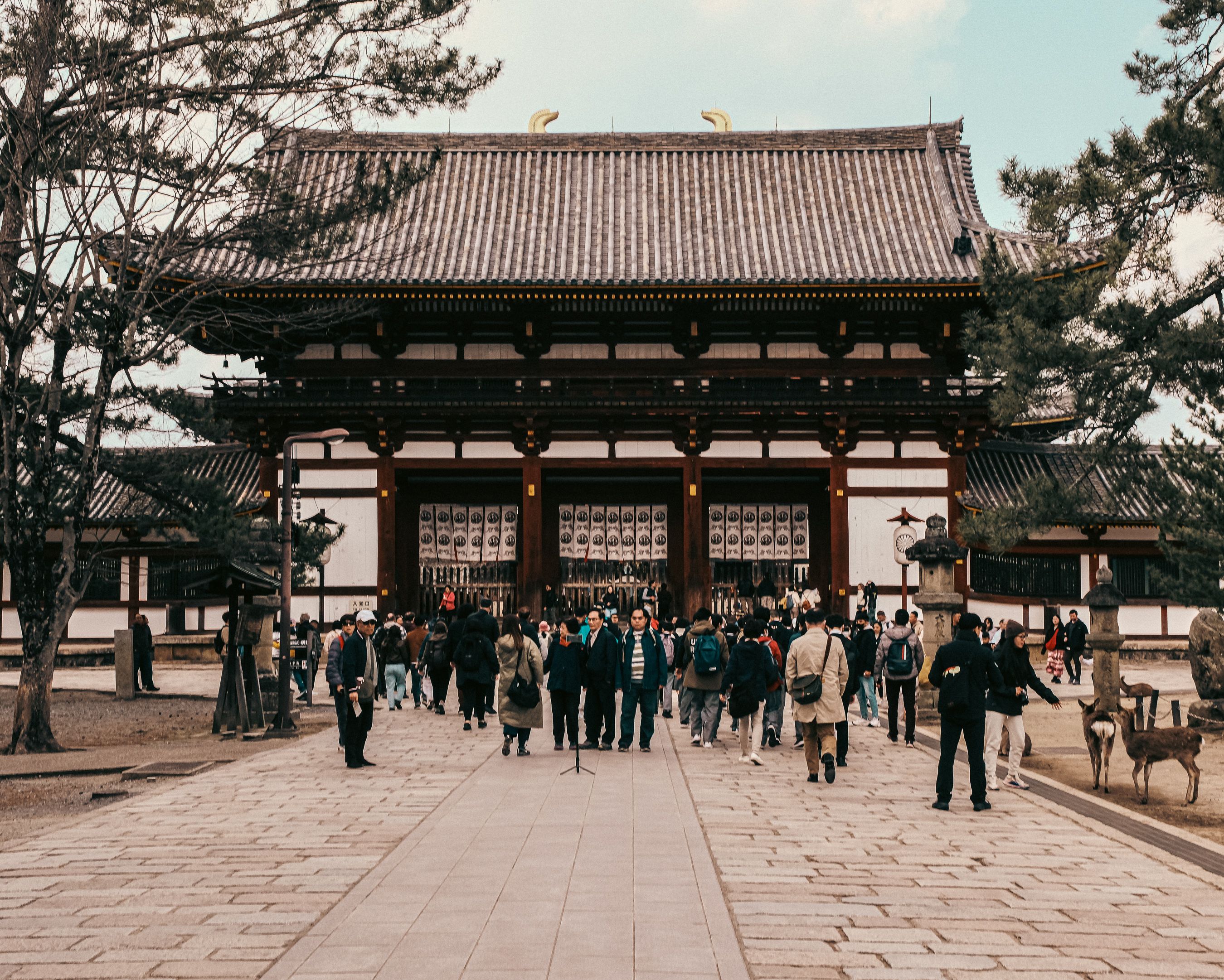 Prefettura di Chiba