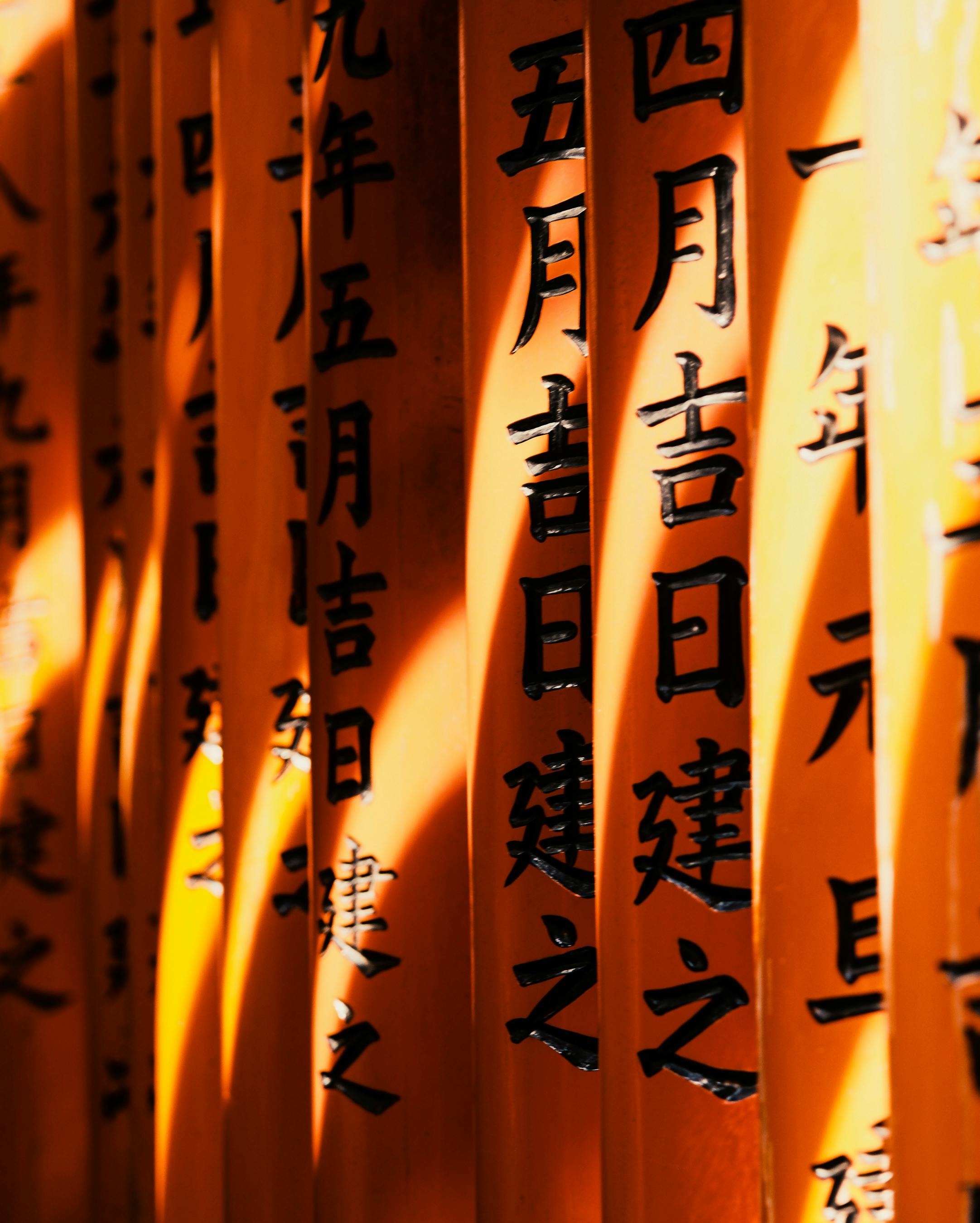 Taller de un artesano de madera japonés con herramientas tradicionales ordenadas meticulosamente.