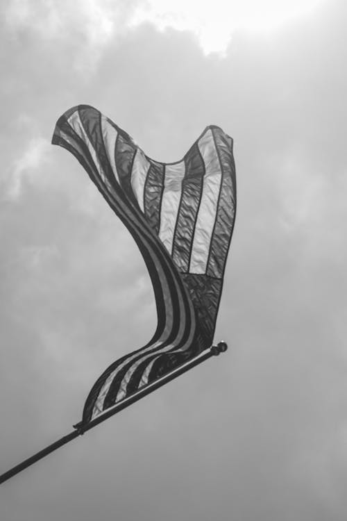 Imagine de stoc gratuită din alb-negru, american, drapel b & w