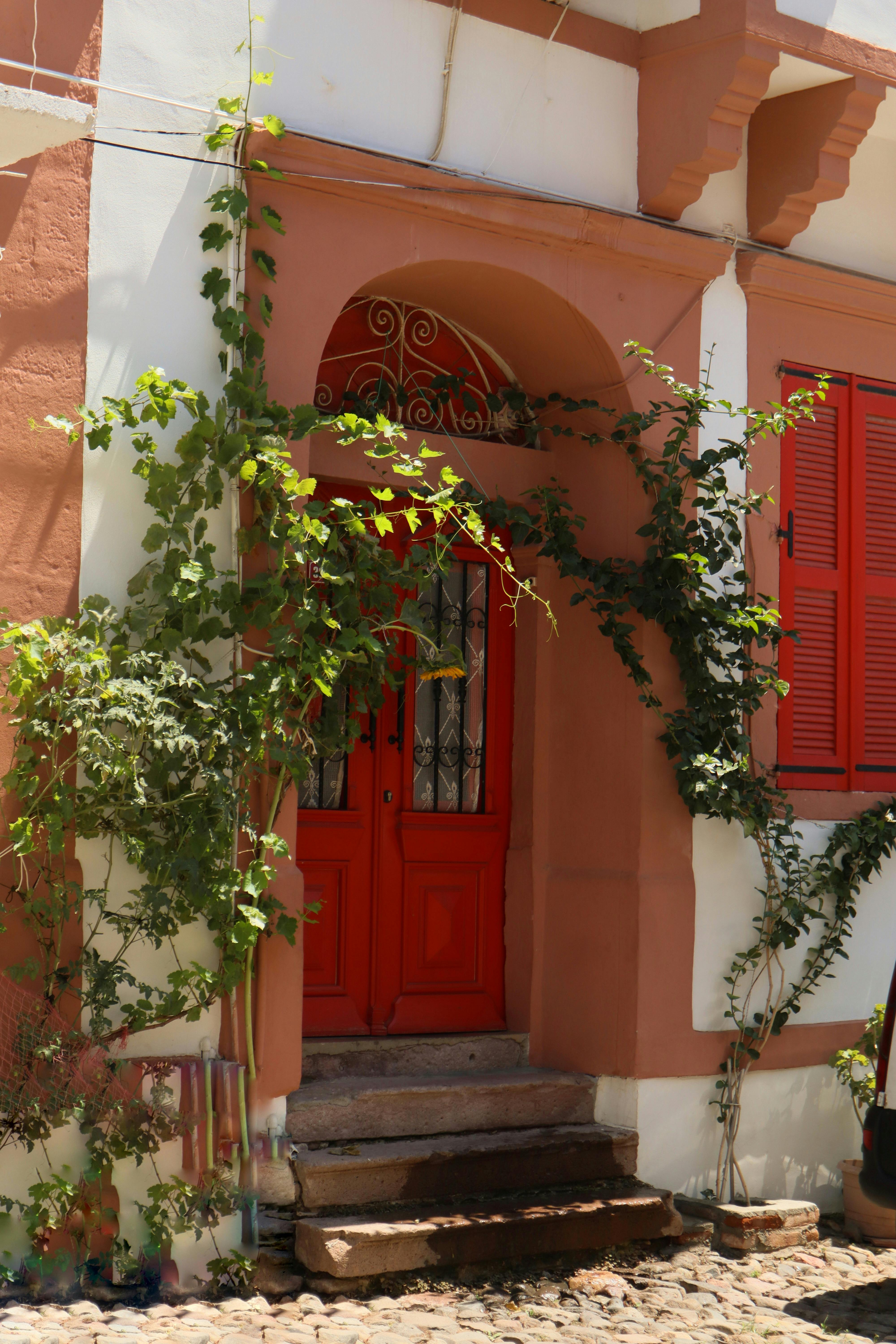 a red door is on a building with vines growing on it