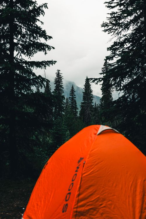 Free Experience solitude in an orange tent amidst Canada's lush wilderness. Stock Photo