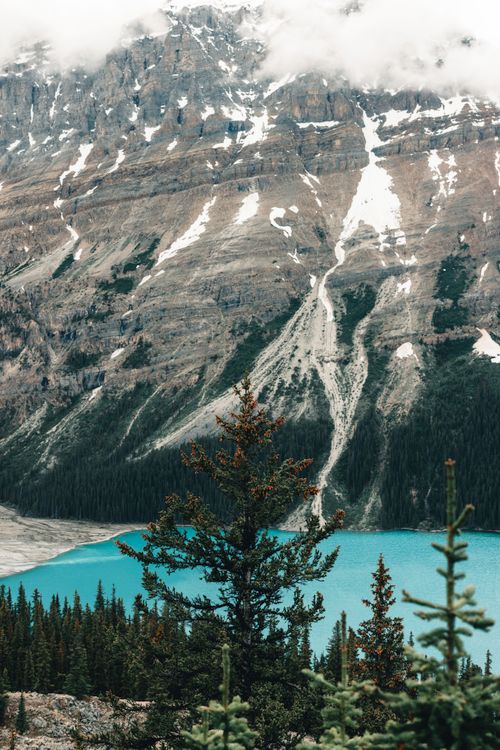 Free Breathtaking view of Peyto Lake surrounded by rugged mountains in Banff National Park. Stock Photo