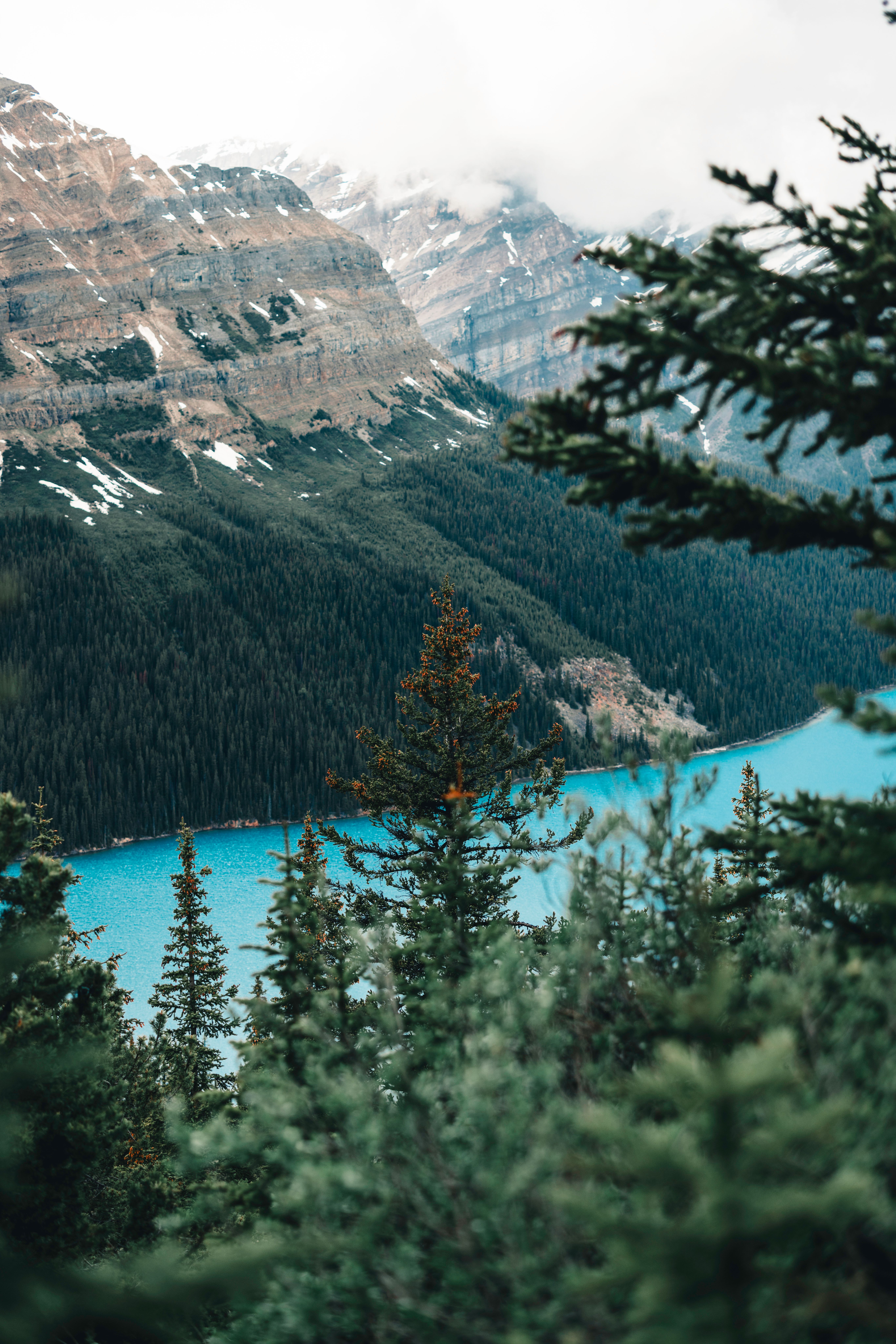 Body of Water Beside Brown Trees Near Mountain · Free Stock Photo