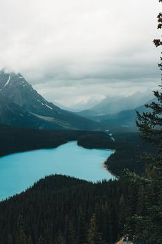 A breathtaking view of Peyto Lake surrounded by mountains and forest, under cloudy skies in Banff National Park.