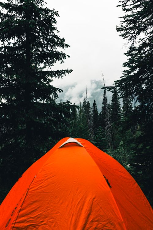 Free Orange tent in the misty forest of Banff, Canada, showcasing a serene camping experience. Stock Photo