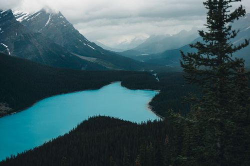 Free A breathtaking view of Peyto Lake in Banff, Alberta, surrounded by mountainous landscape. Stock Photo