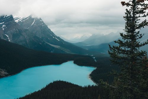 Free Scenic landscape of turquoise Peyto Lake surrounded by mountains and forest in Banff National Park, Alberta, Canada. Stock Photo