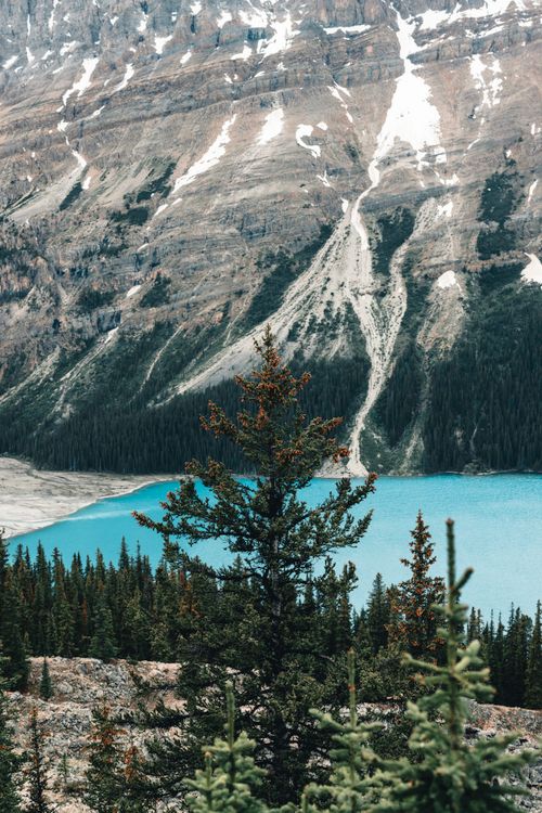 Free Stunning landscape of Peyto Lake in Banff, showcasing turquoise waters and rugged mountains. Stock Photo