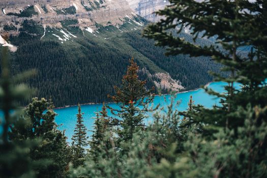 Vibrant turquoise lake surrounded by lush forest and mountain peaks in Banff, Alberta, Canada.