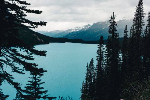 Free A breathtaking view of a clear mountain lake surrounded by pine trees and snowy peaks in Banff National Park, Canada. Stock Photo