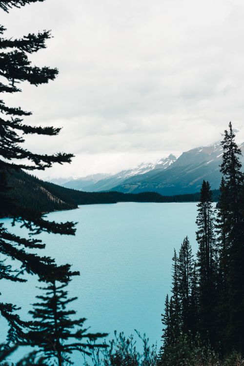 Free Peaceful mountain lake surrounded by forests in Banff, Alberta, Canada, showcasing natural beauty and tranquility. Stock Photo