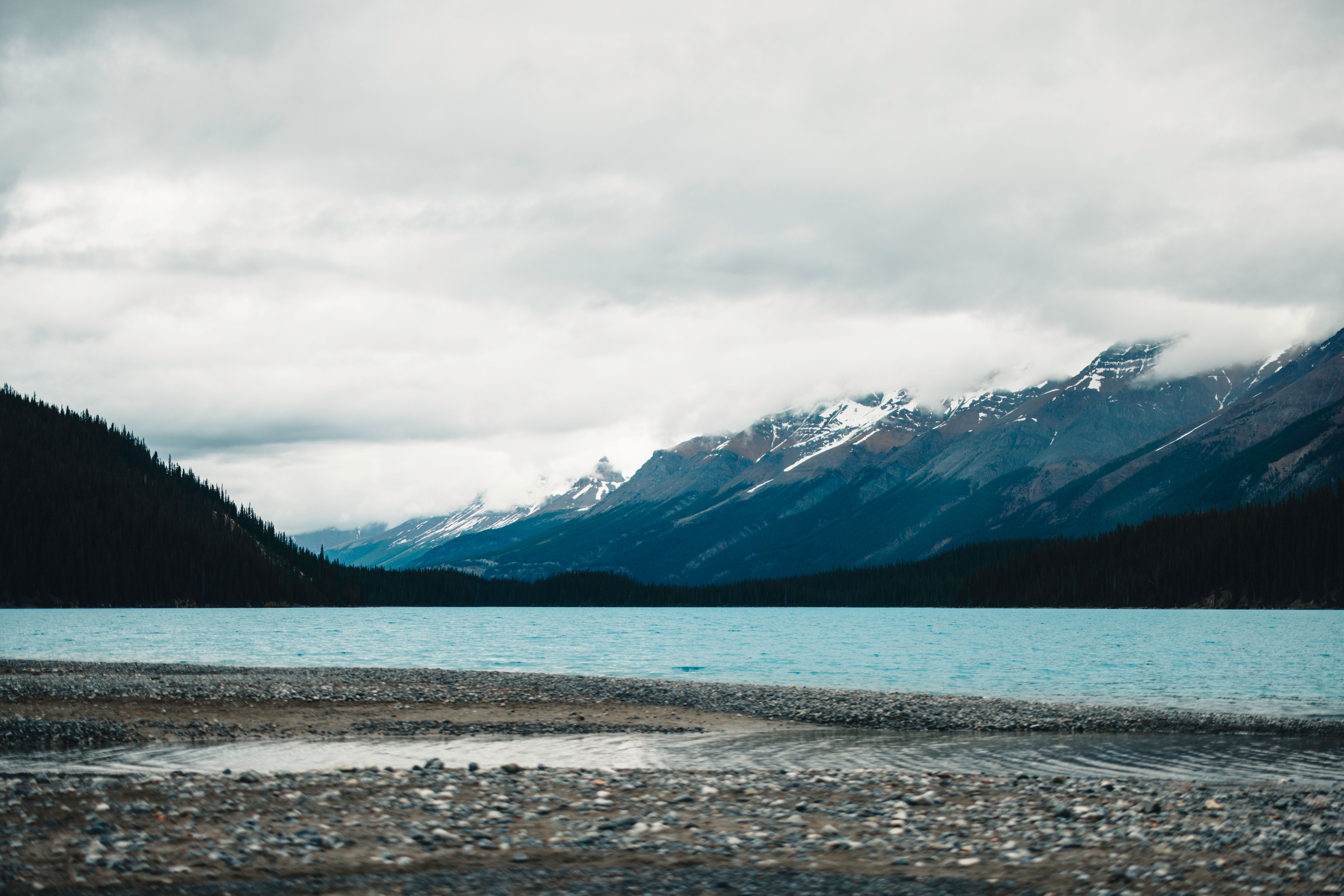 3 Day Yoga Retreat & Nature Adventure in British Columbia, Canada 3