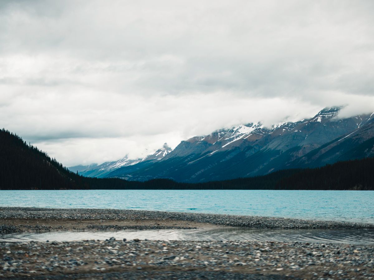 3 Day Yoga Retreat & Nature Adventure in British Columbia, Canada 3