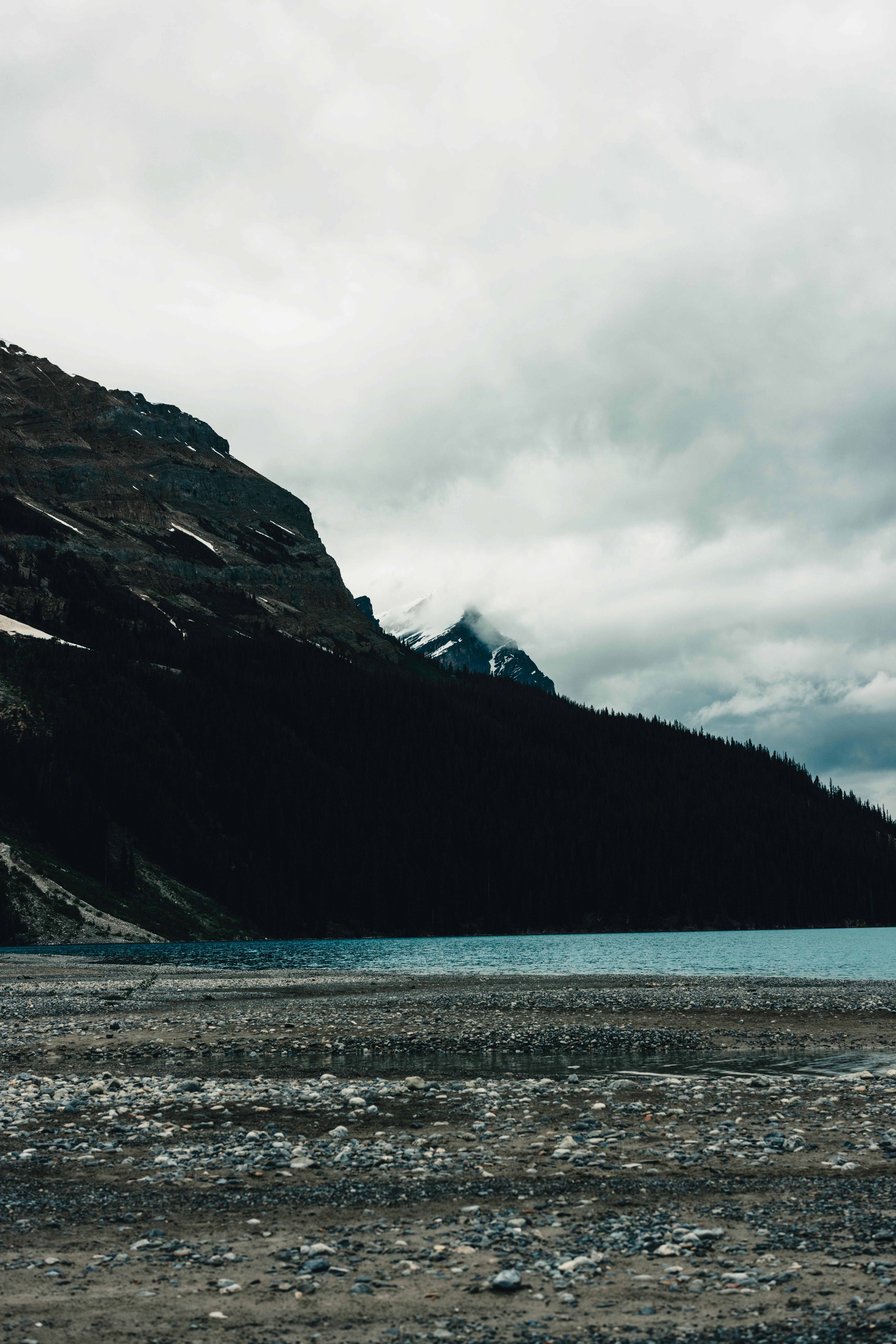 5 Breathtaking Parks and Green Spaces in Bristol You Didn’t Know Existed