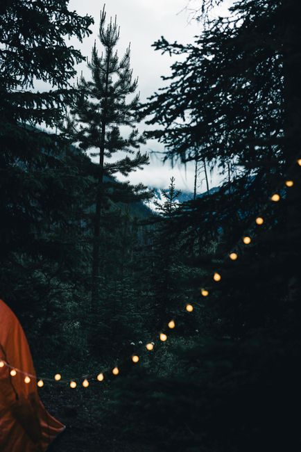 A cozy yurt exterior at a forested campground under a starry sky
