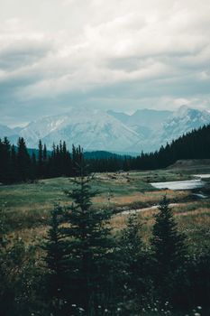 Scenic view of the mountain range in Banff National Park, Canada, with lush greenery and serene landscape.