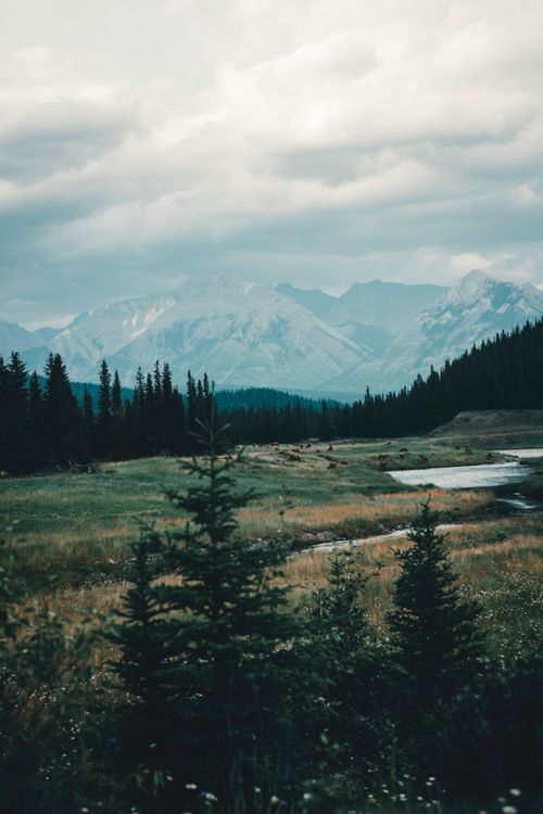 Free Scenic view of the mountain range in Banff National Park, Canada, with lush greenery and serene landscape. Stock Photo