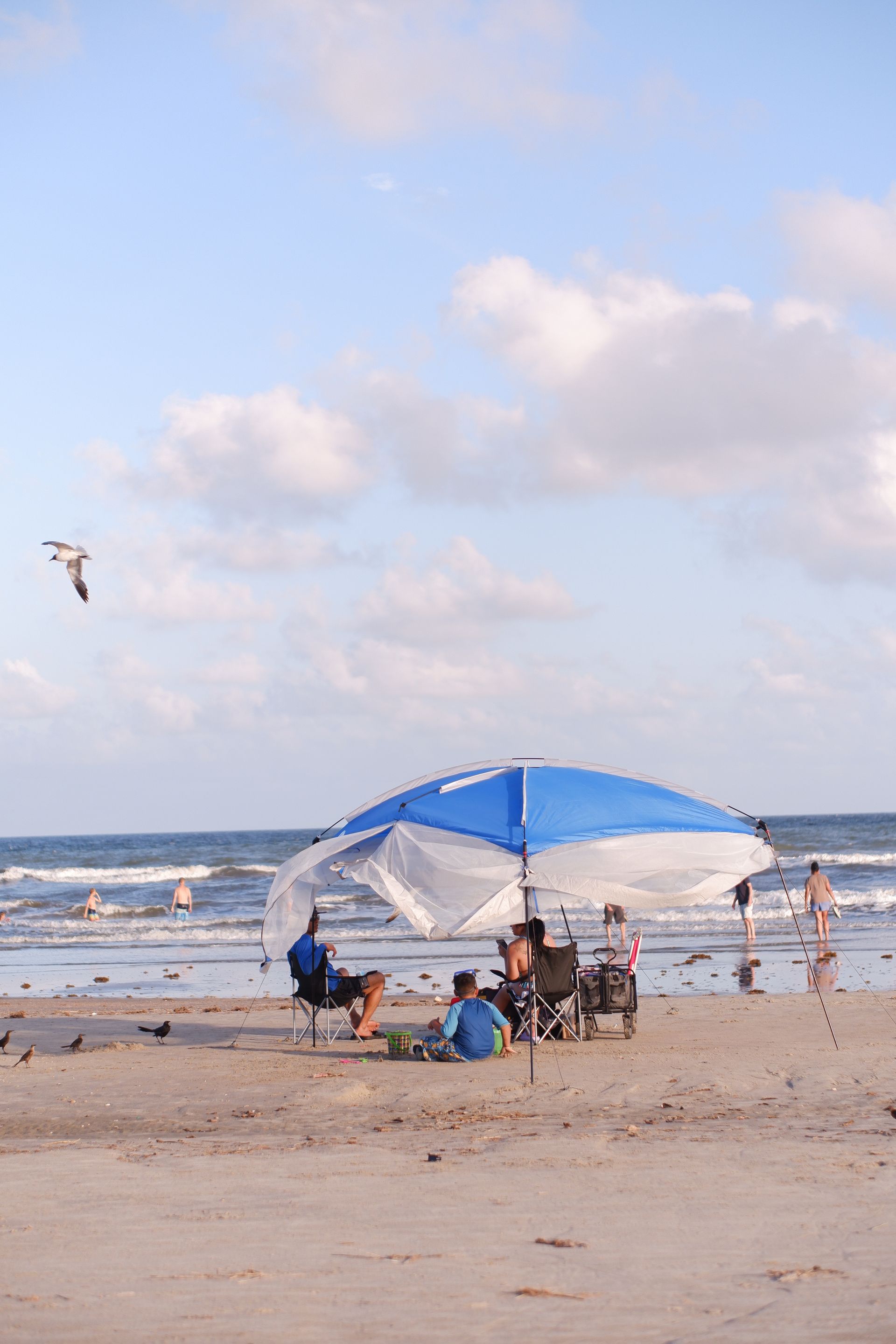 Galveston Texas beach and coast — barrier island setting for flood vulnerability story