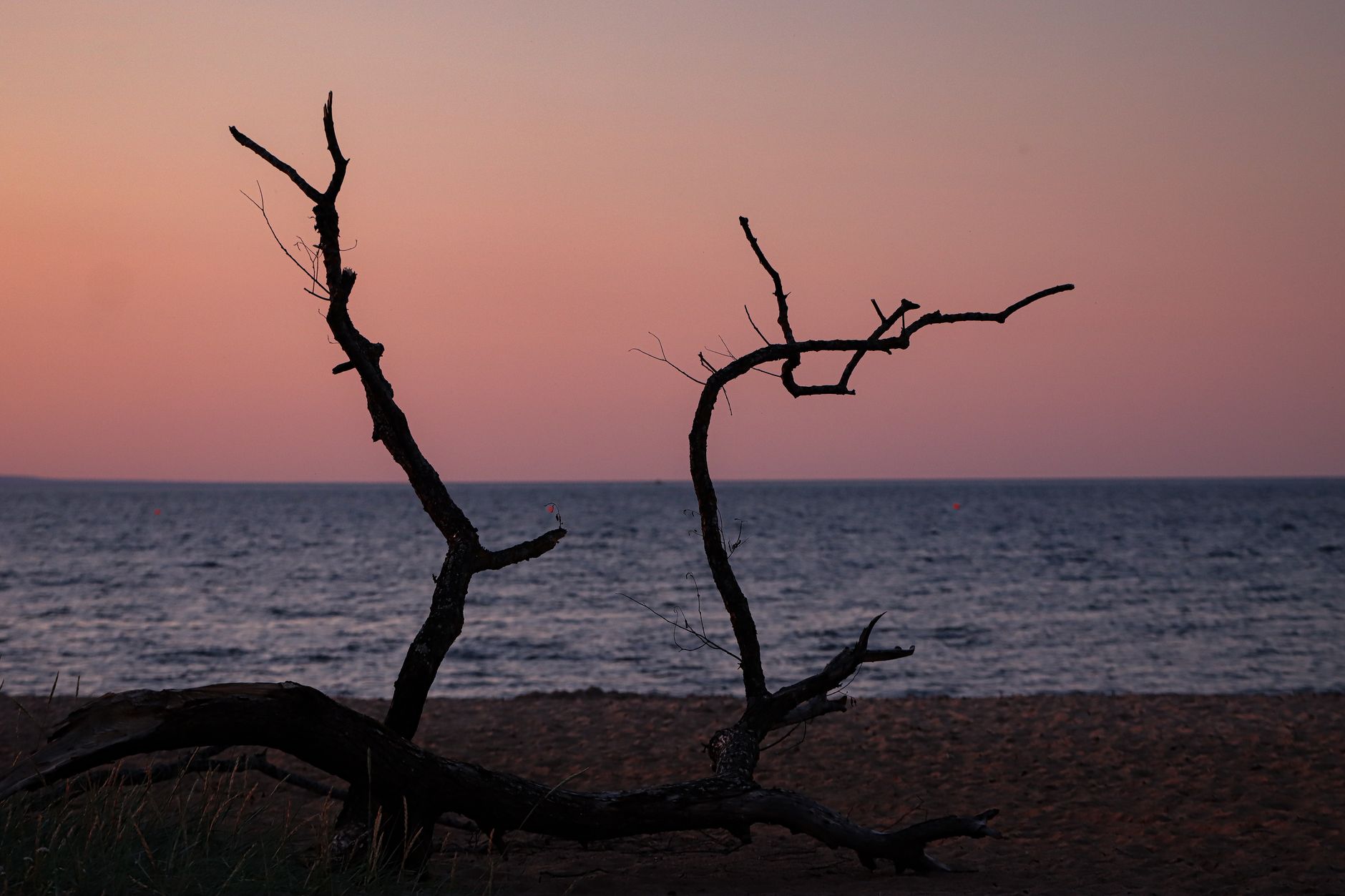 A tranquil silhouette of driftwood against a scenic ocean sunset in Jönköping, Sweden.