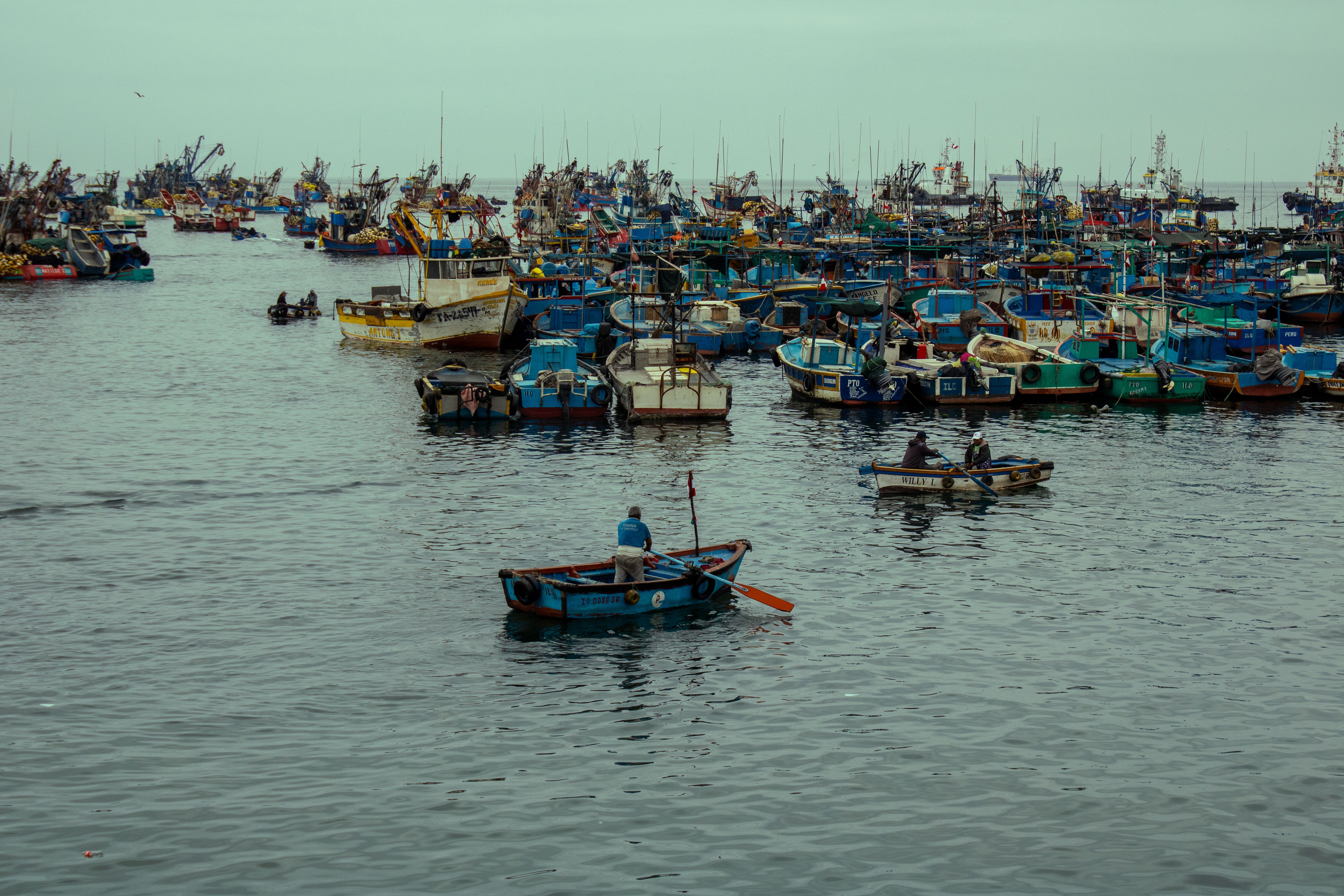 A bustling scene of fishing boats in Ilo Harbor, showcasing Peru's vibrant maritime life.