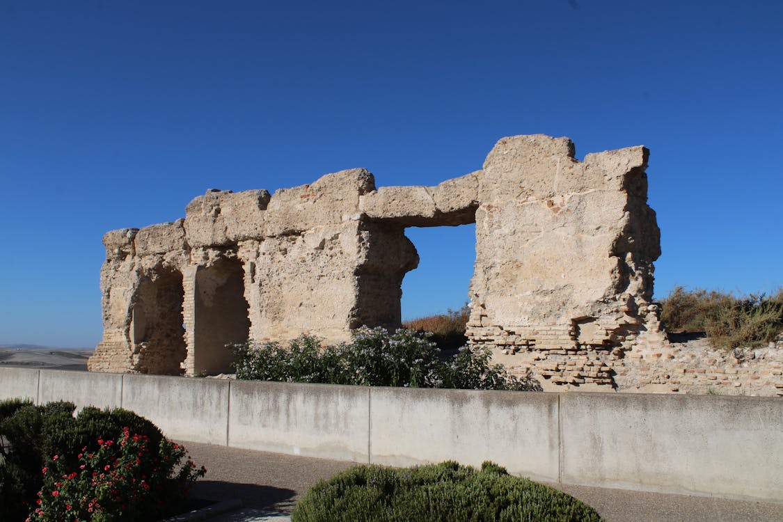 castillo de Lebrija | fotografía 3