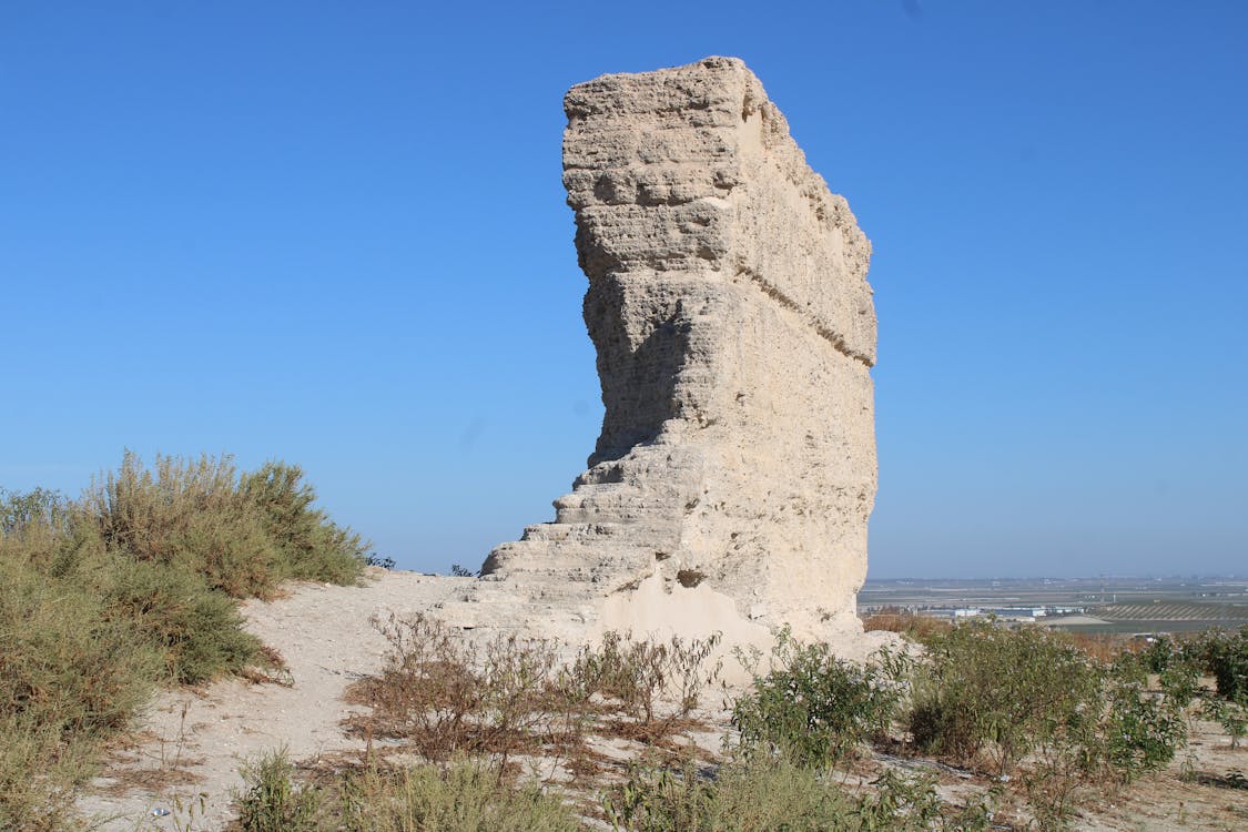 detalle del castillo de Lebrija | fotografía 14