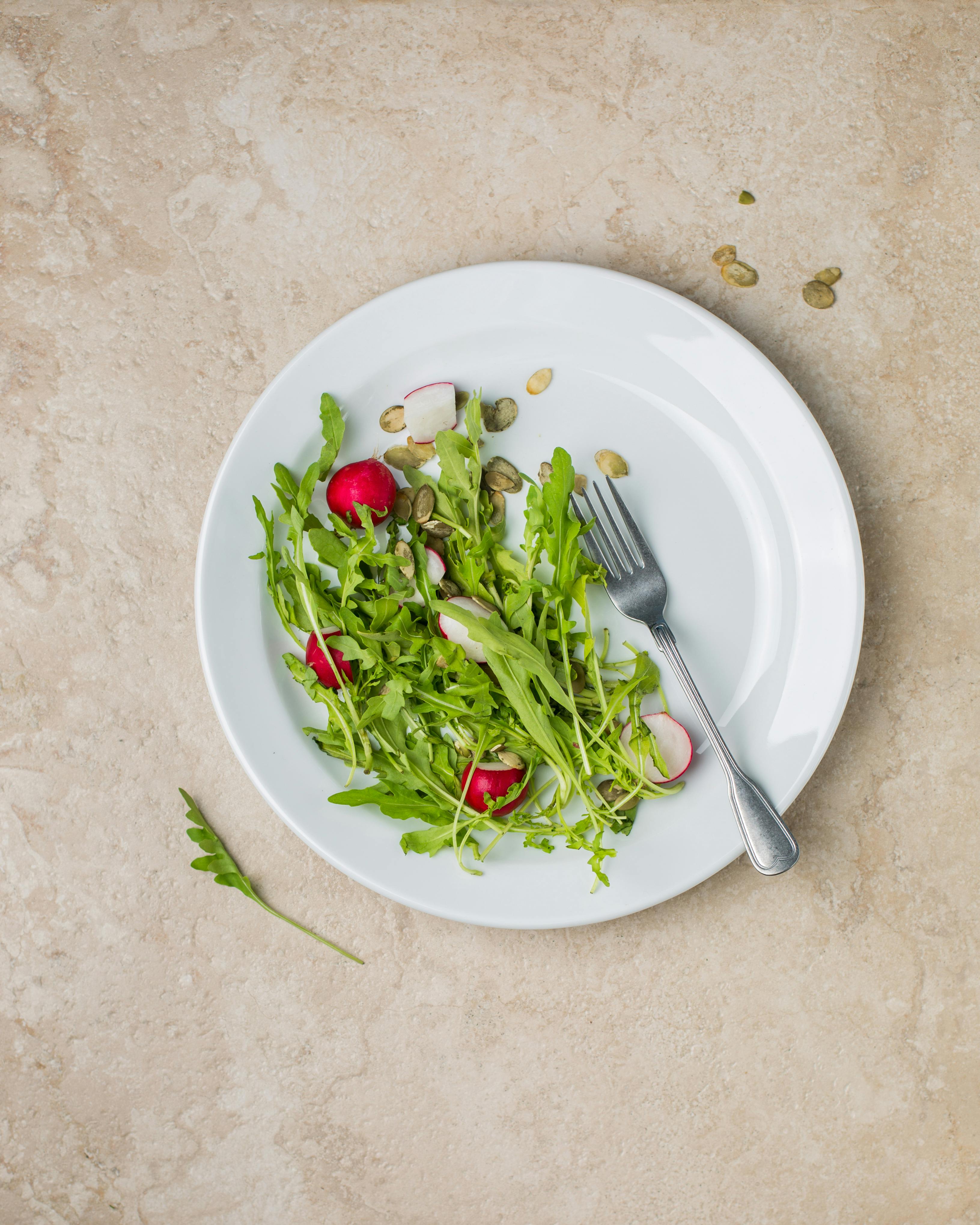 Picture Of Salad On Plate · Free Stock Photo