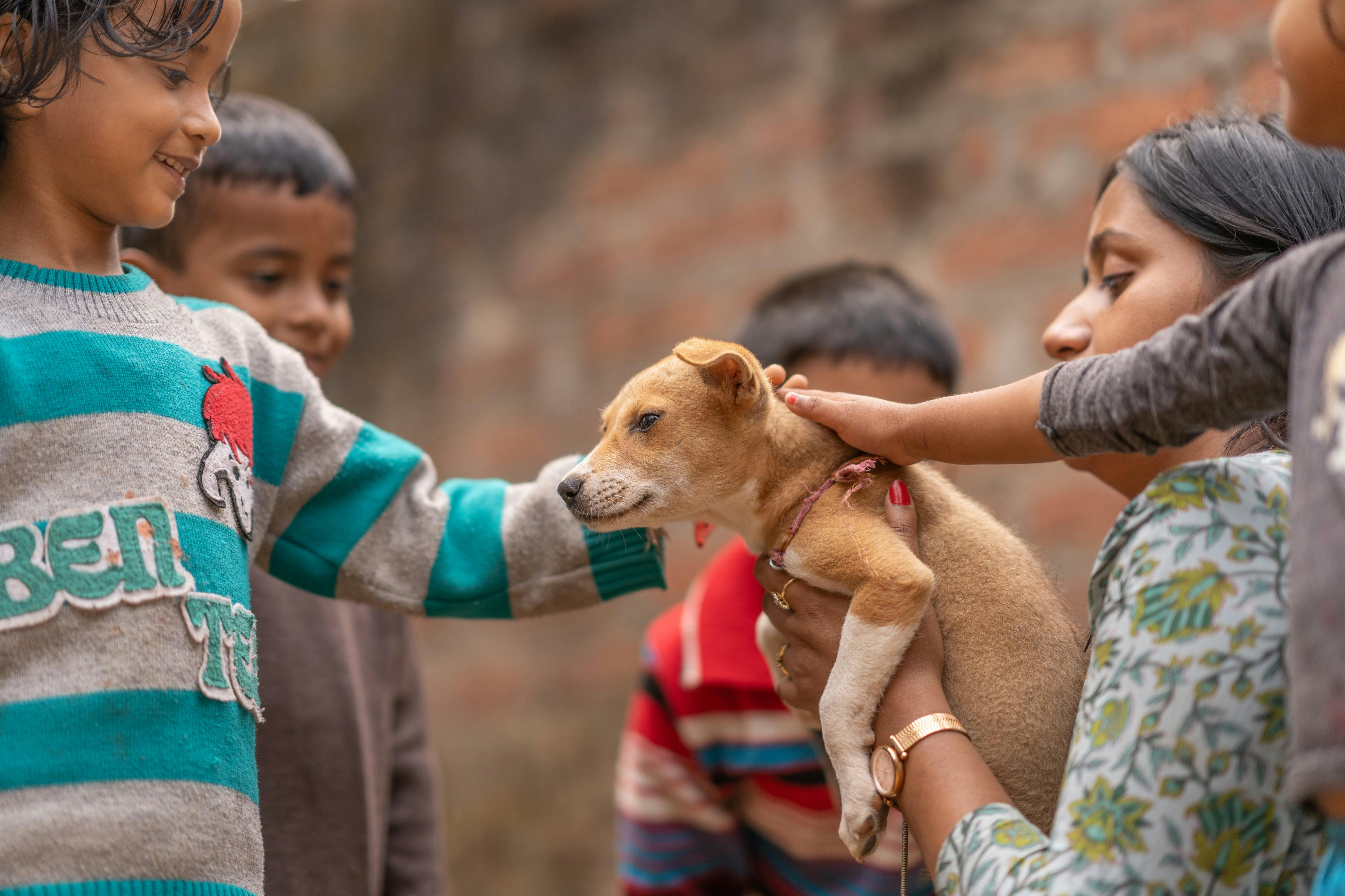 A woman holding a small dog while children look on