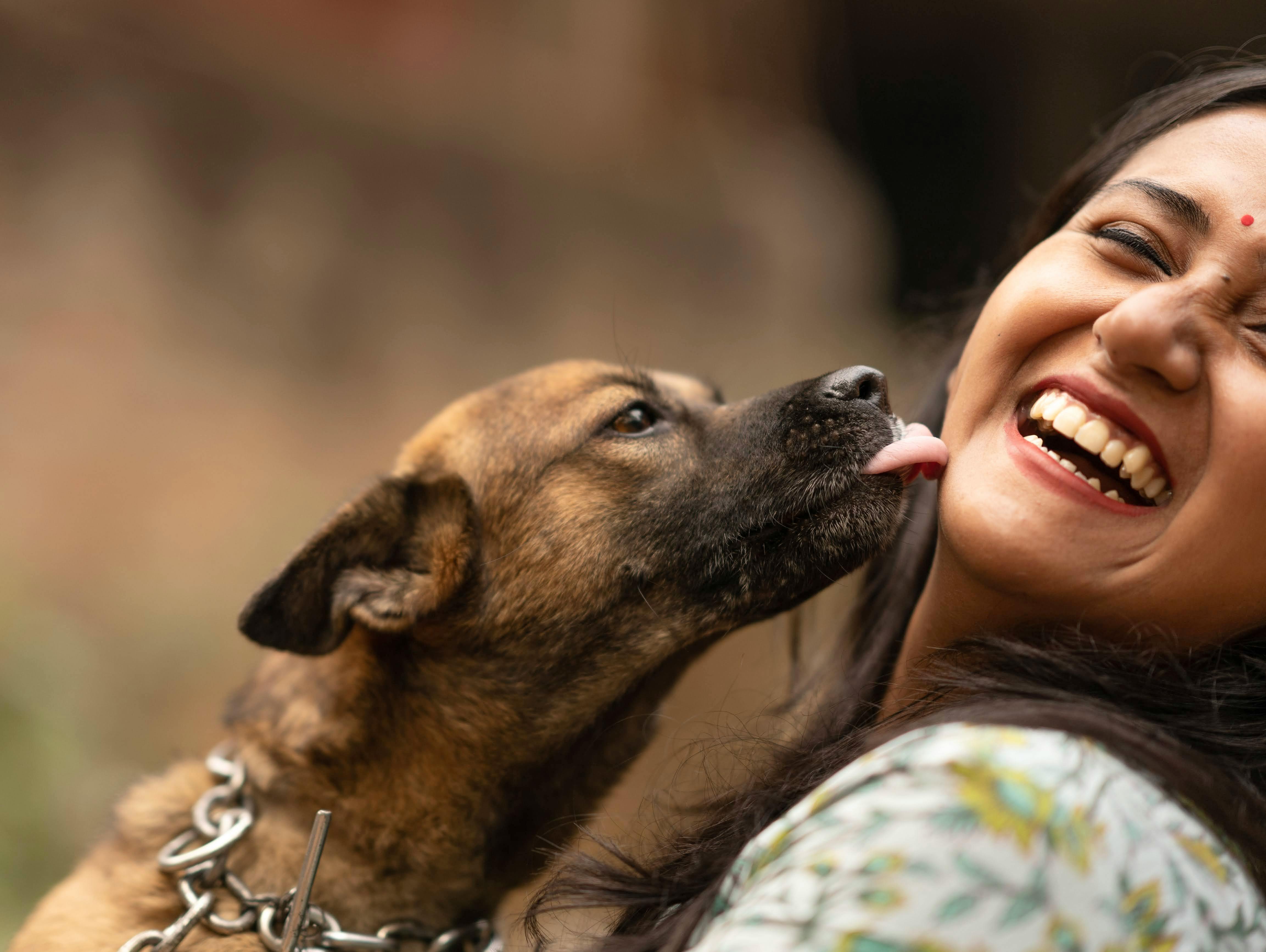 Dog Licking a Laughing Woman