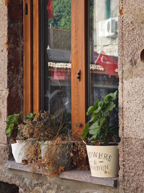 Pottery Display Window Charming Window Sill with Potted Plants Outdoors · Free Stock Photo