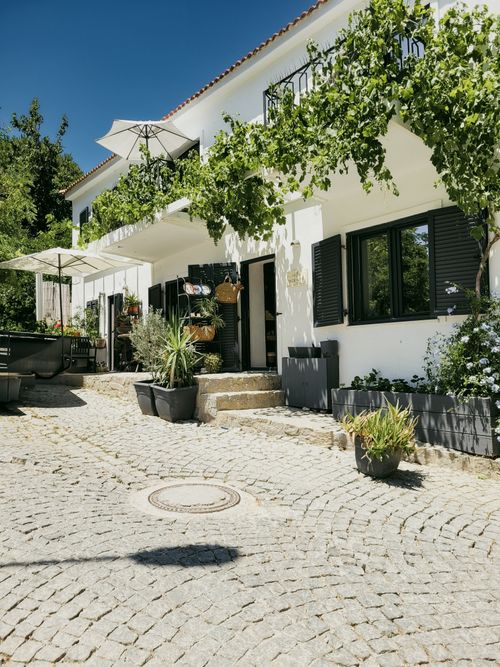 Free Sunny Mediterranean style home with garden, patio, and lush greenery. Stock Photo