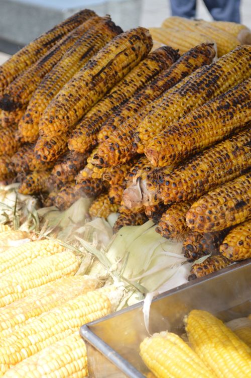Free Deliciously grilled corn on the cob stacked and ready to serve outdoors. Stock Photo