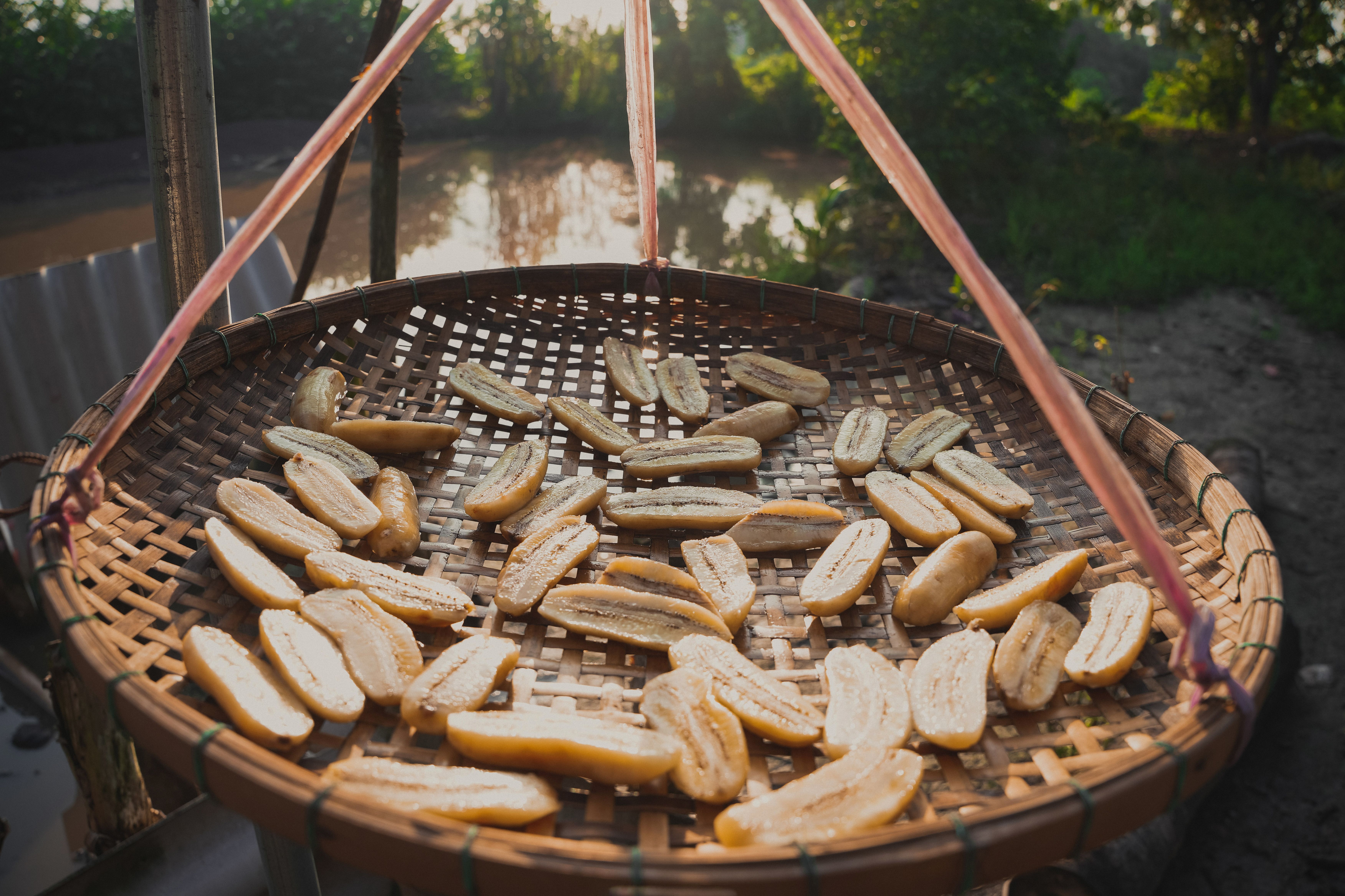 how modern food preservation methods were refined during the war - image 3