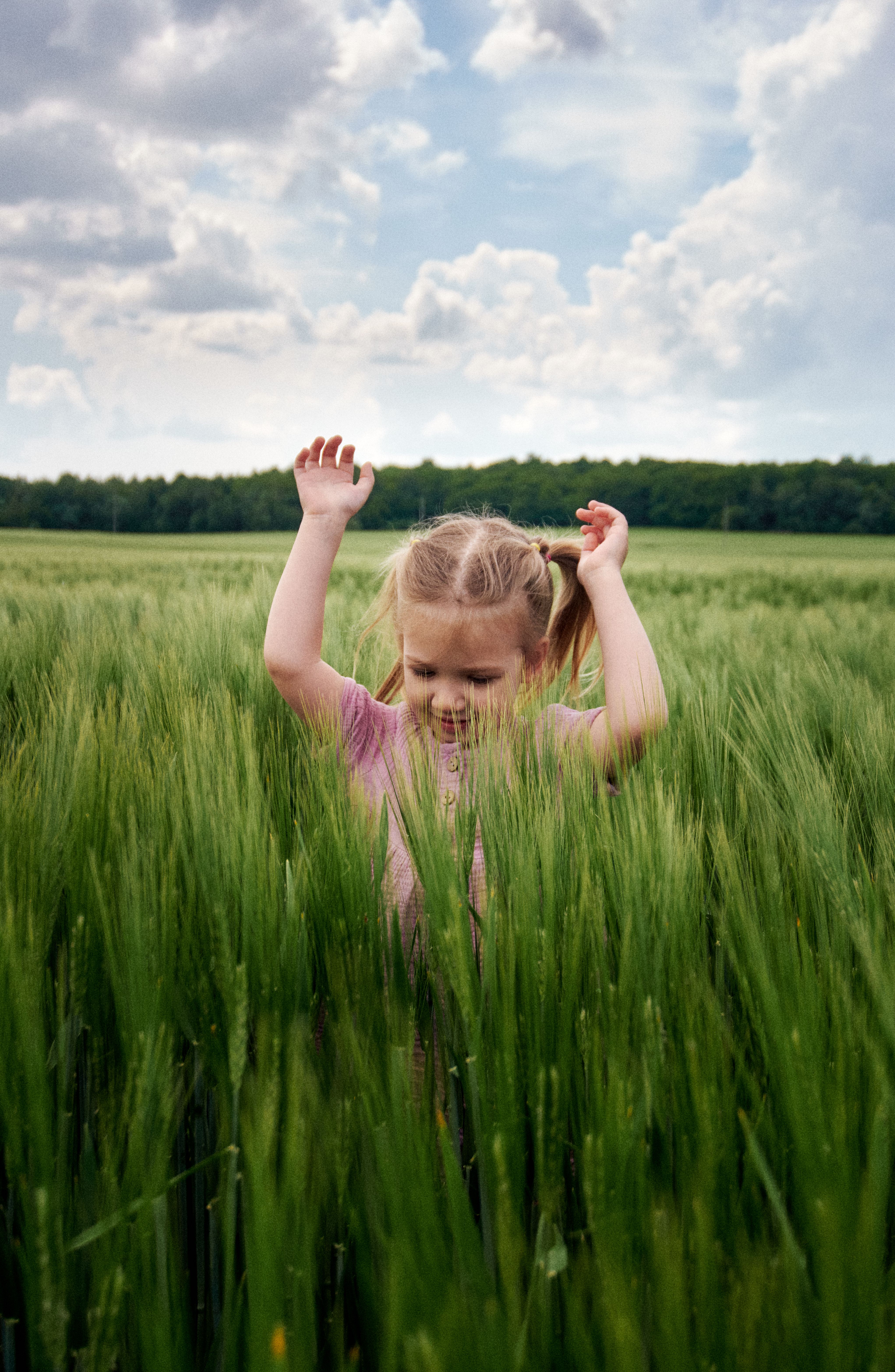 A little girl in a wheat field · Free Stock Photo
