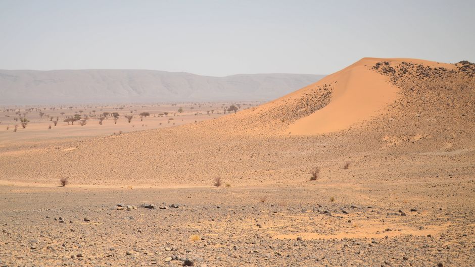 Carte de séjour Salarié Niger — Travailler au Niger 2026