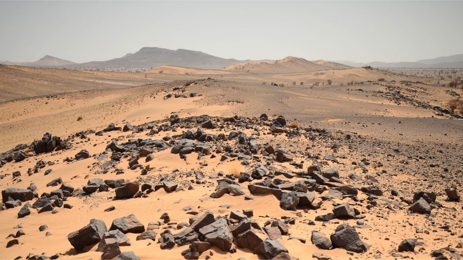 Peut-on vivre en Niger sans parler anglais ?