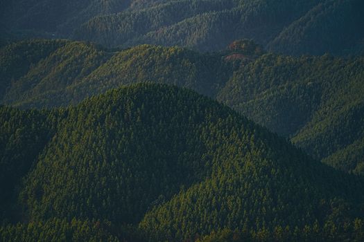 A scenic view of forested hills under natural daylight, showcasing nature's beauty.