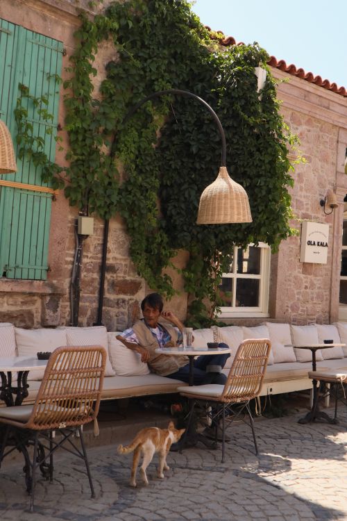 Free A woman enjoys a peaceful moment on a quaint patio in Balıkesir, Türkiye. Stock Photo