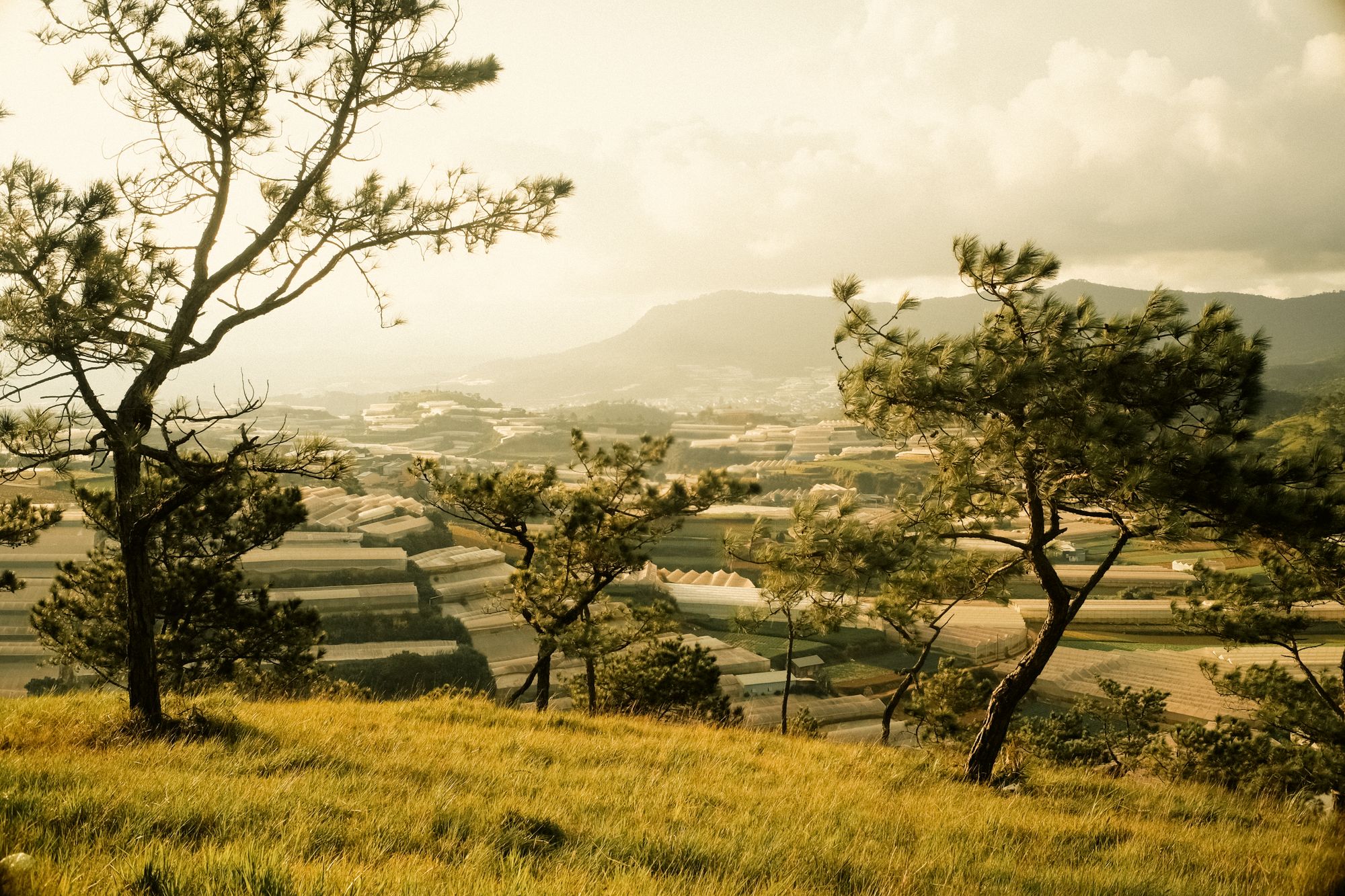 Dalat