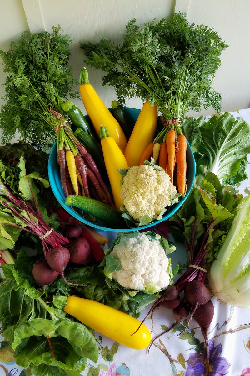 101 Recipes From Gods Garden Healthy Recipes