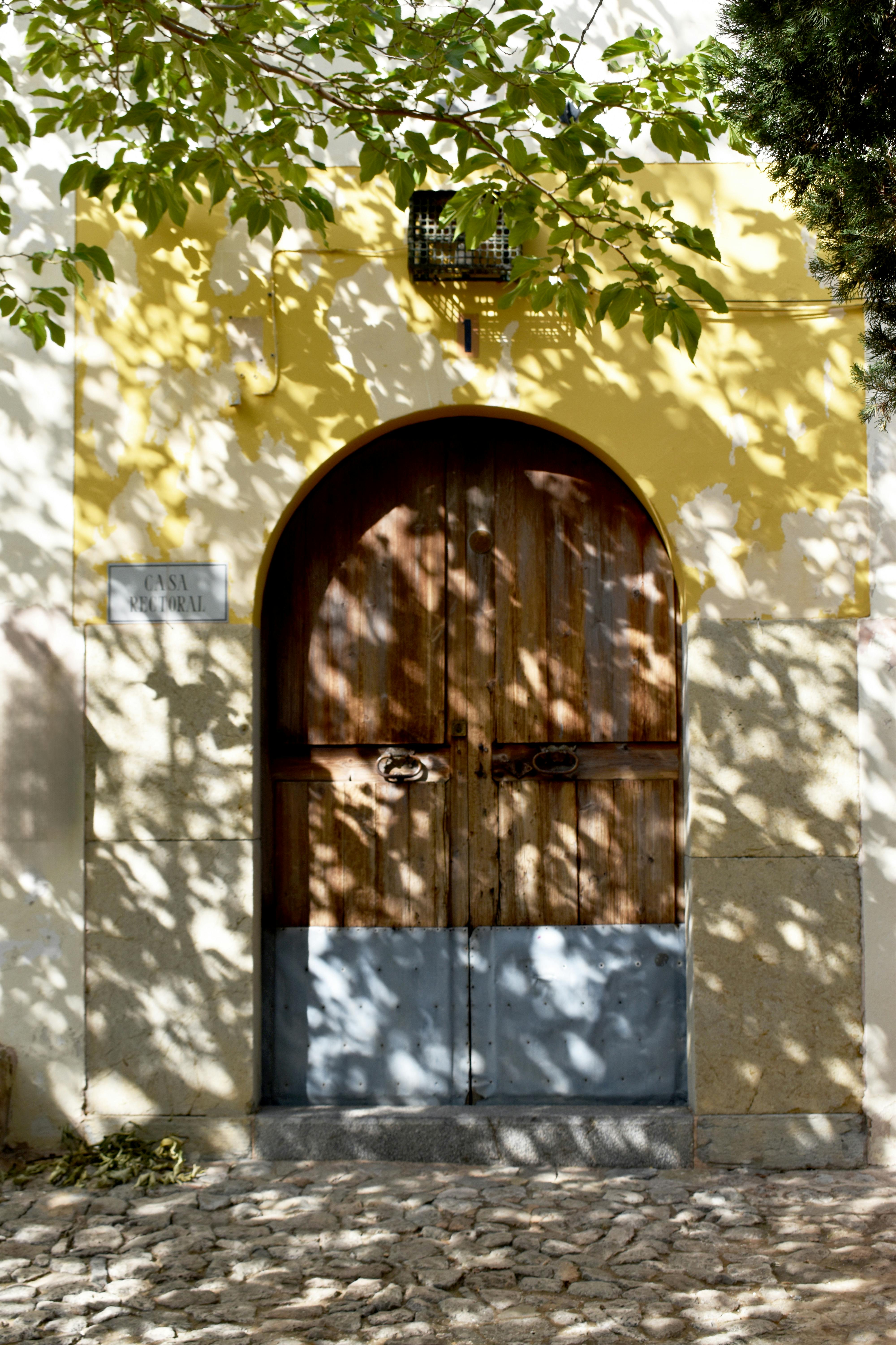 A charming wooden door framed by vibrant shadows of tree branches outdoors.