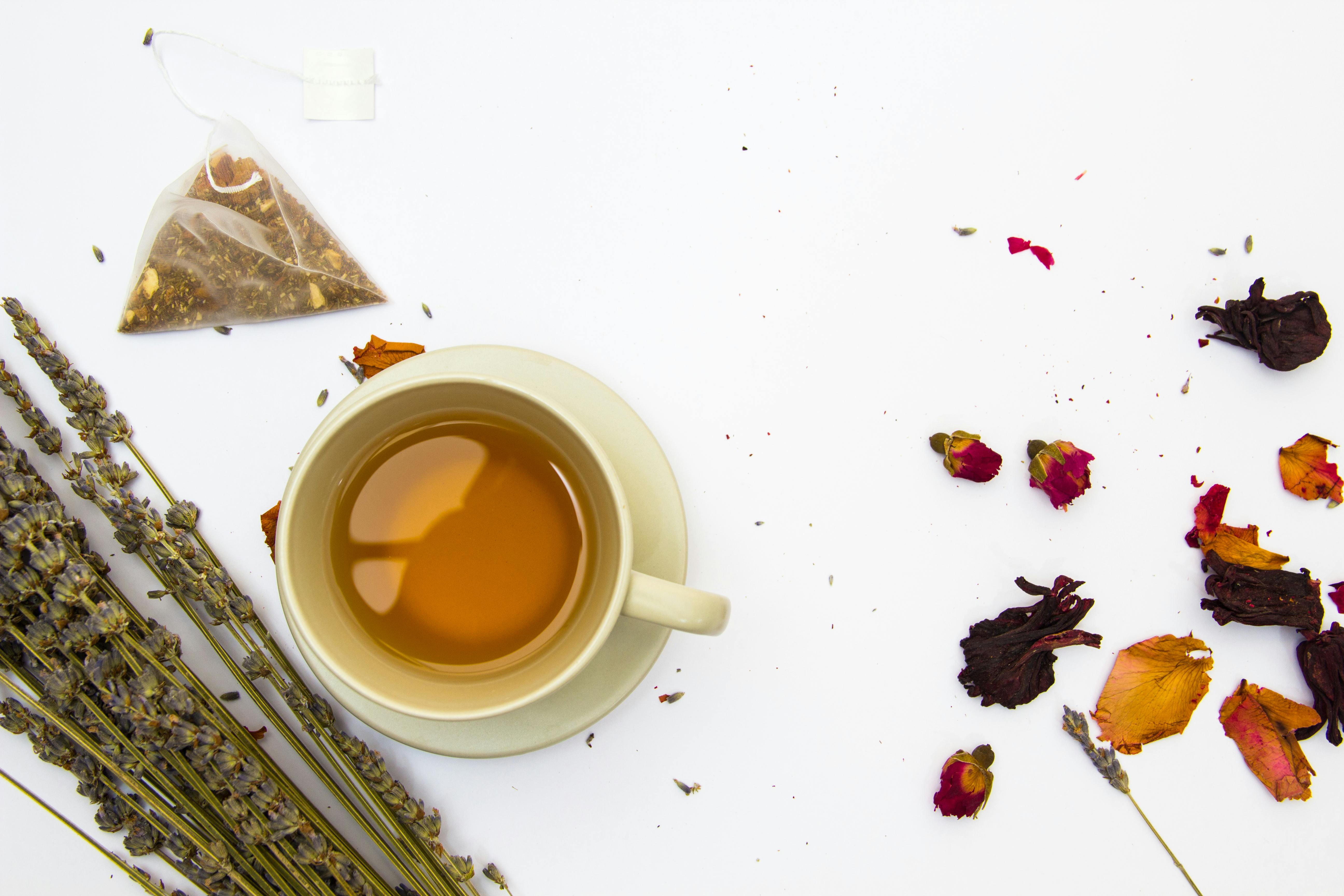 Flat lay of herbal tea in a cup with dried flowers and lavender on a white background.