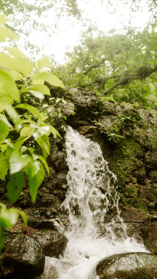 Free A beautiful waterfall flowing amidst vibrant greenery in a tranquil forest setting. Stock Photo