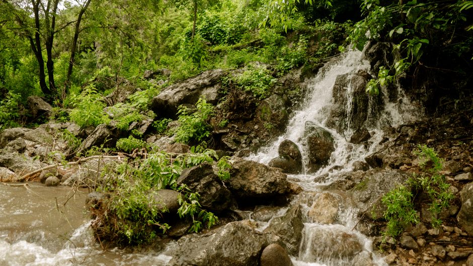 Disciple of Premanand Maharaj Dies After Fall at Uttar Pradesh Ashram