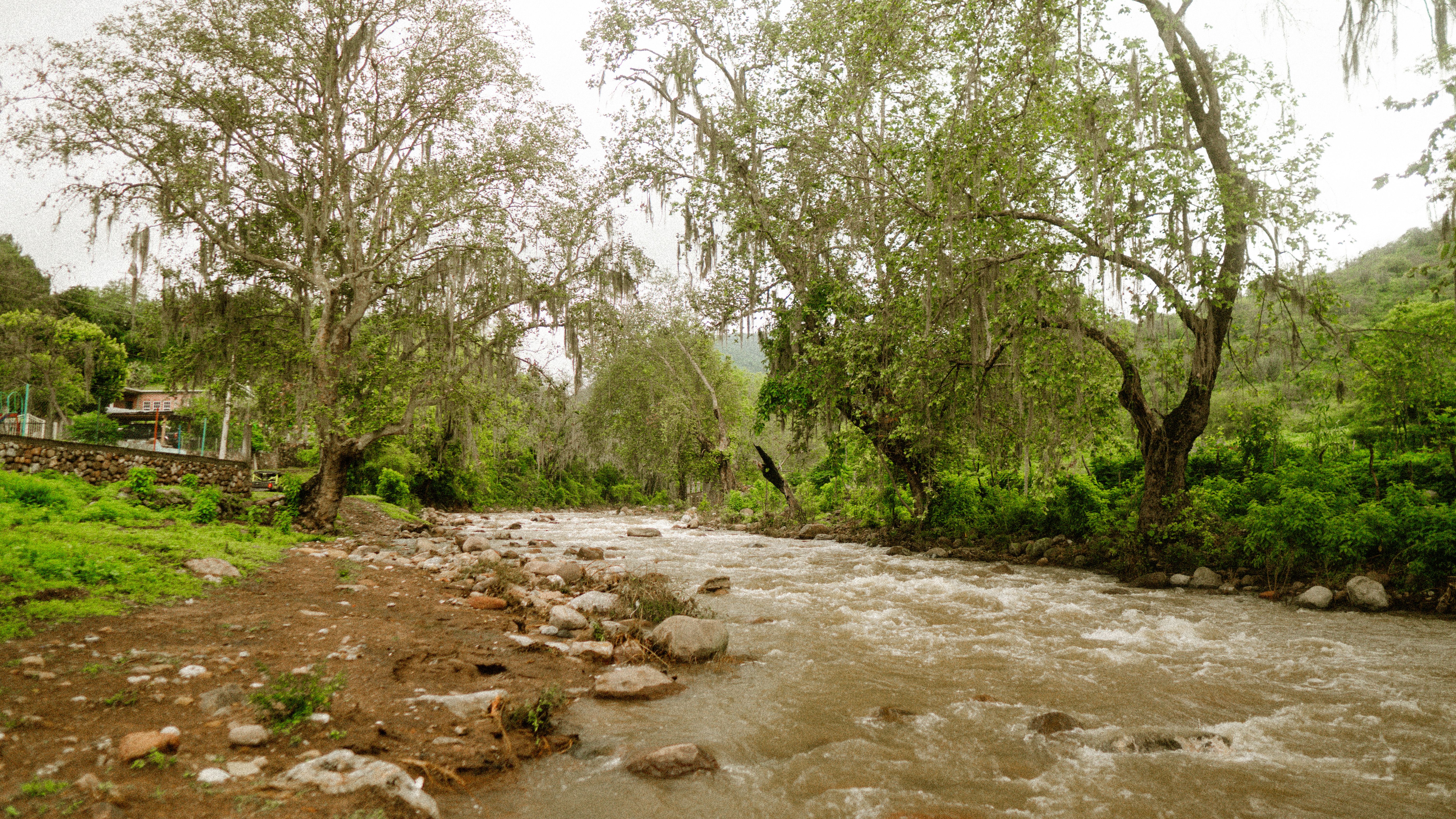 Importancia económica y ambiental de los ríos más caudalosos de Guatemala